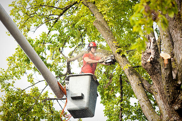 Fairfield, OH Tree Care Pros