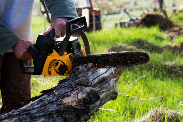 Best Aeration Services  in Fairfield, OH